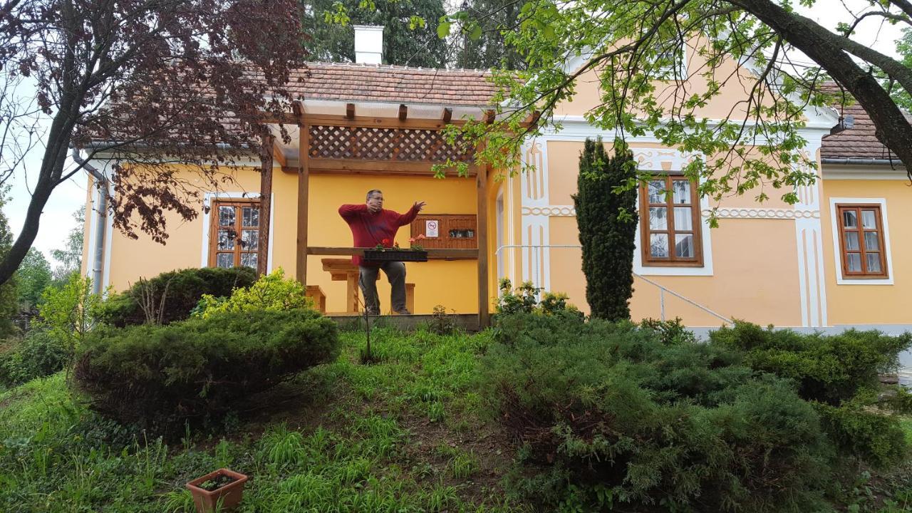 Boronahaz Fogado Hotel Szalafo Luaran gambar